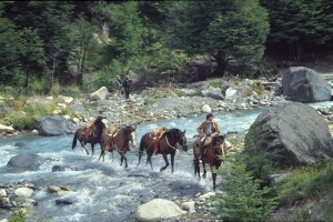 0374 PAINE - refugio Chileno.jpg